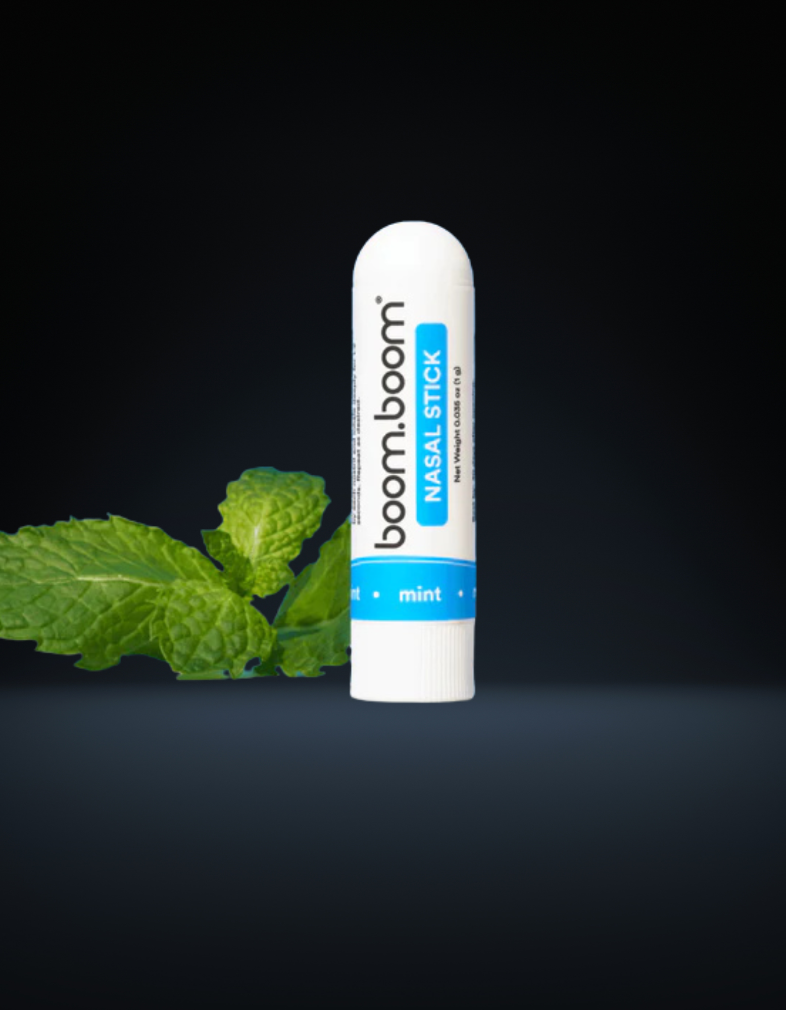 Boom Boom Stick – Rave Camp